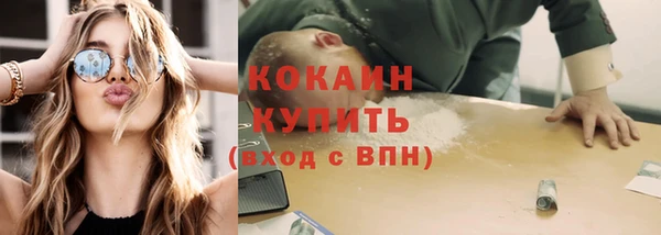 стафф Новозыбков