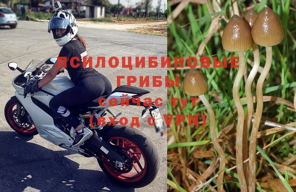 мескалин Новодвинск
