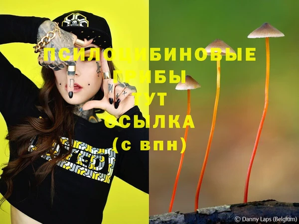 2c-b Няндома